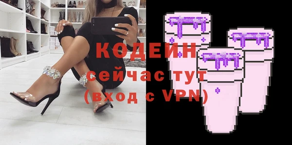 хмурый Алексин