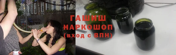 хмурый Алексин