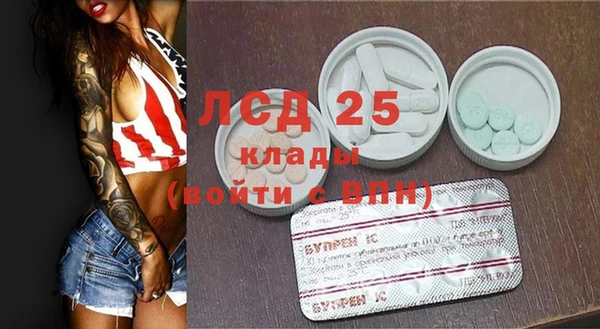 хмурый Алексин