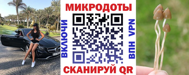 Галлюциногенные грибы Cubensis купить наркотик Сасово